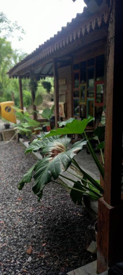 Omah Cantrik, Ethnic Java House With Nature View Jarakan 外观 照片